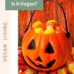 Candy corn is it vegan?.