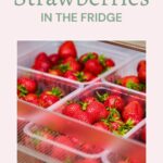 Plastic containers of fresh strawberries are stored in a refrigerator drawer. Text above reads: "How to Store Strawberries in the Fridge.