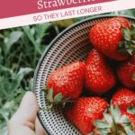 A hand holds a bowl of fresh strawberries with the text, "The Best Way to Store Strawberries So They Last Longer," displayed above.