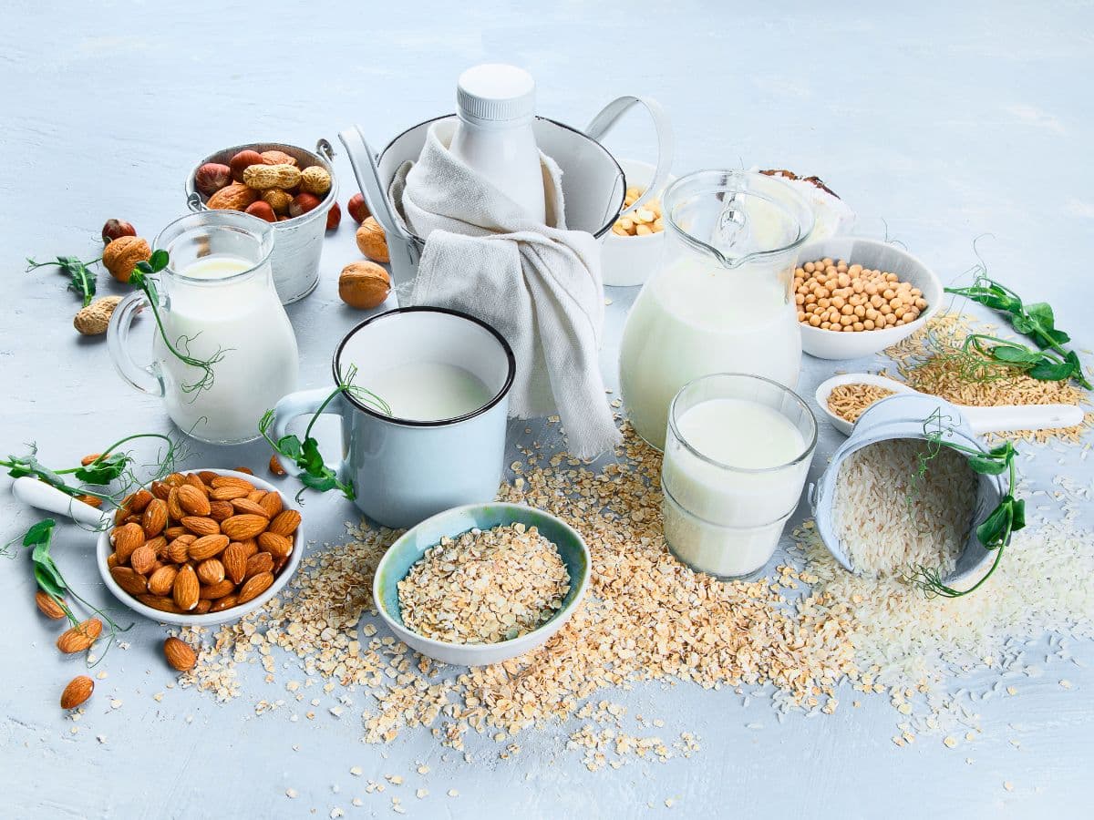 Various nuts, grains, and seeds are displayed with jars and glasses of plant-based milk alternatives on a white surface.