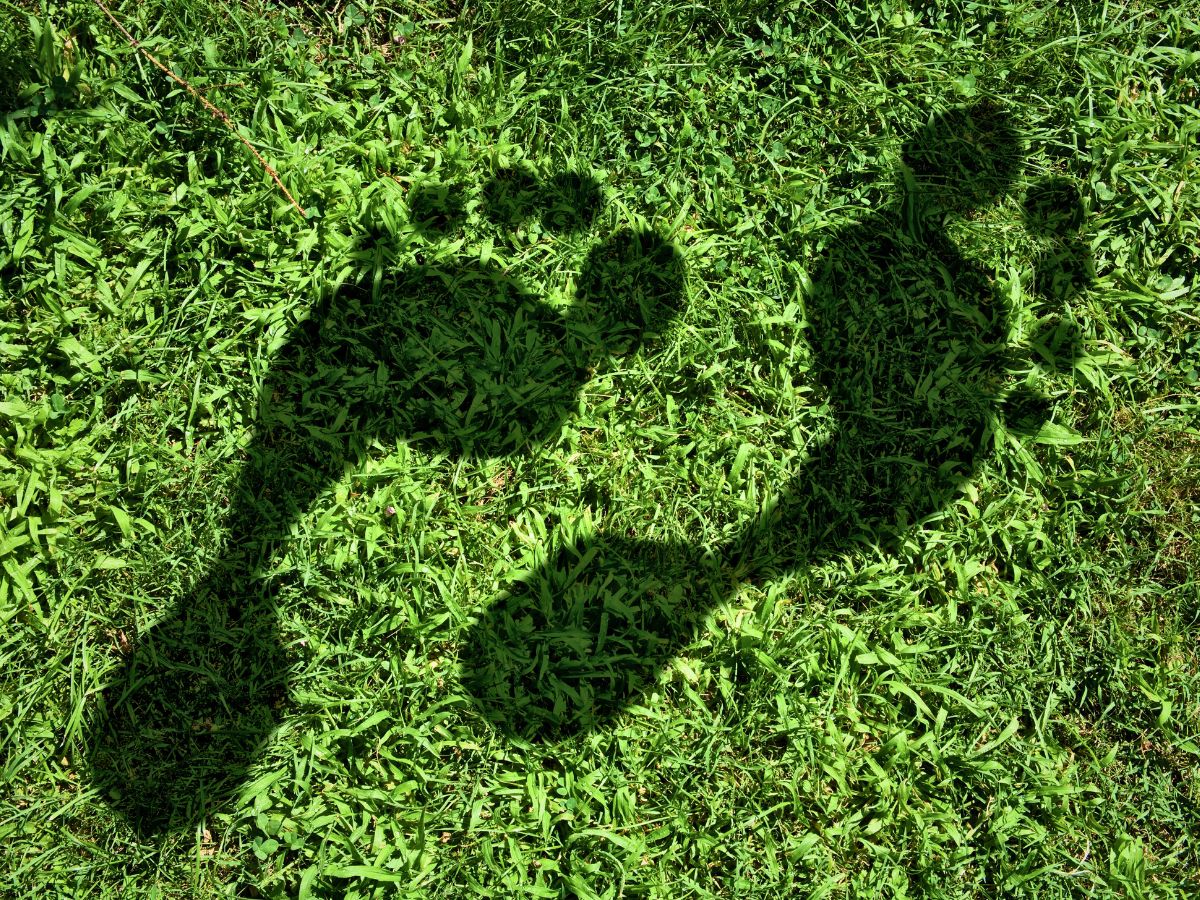 Shadow of two large footprints on grass.