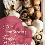 A wooden crate filled with various mushrooms, including button and oyster mushrooms. Text overlay reads, "5 Tips for Storing Fresh Mushrooms.