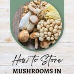 A variety of mushrooms, including white and brown types, are arranged on a wooden surface. Text below reads, "How to Store Mushrooms in the Fridge.