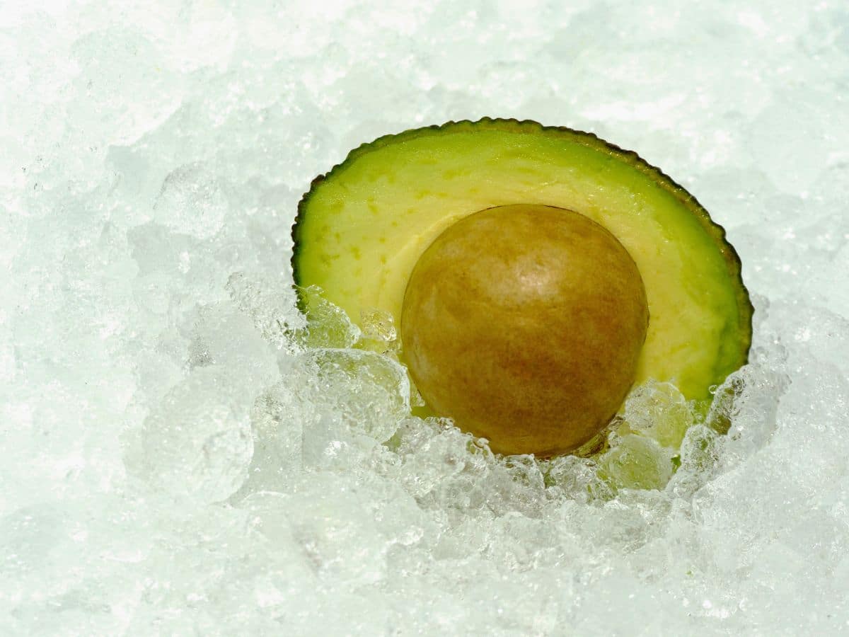 Half an avocado with the pit visible, resting on crushed ice.