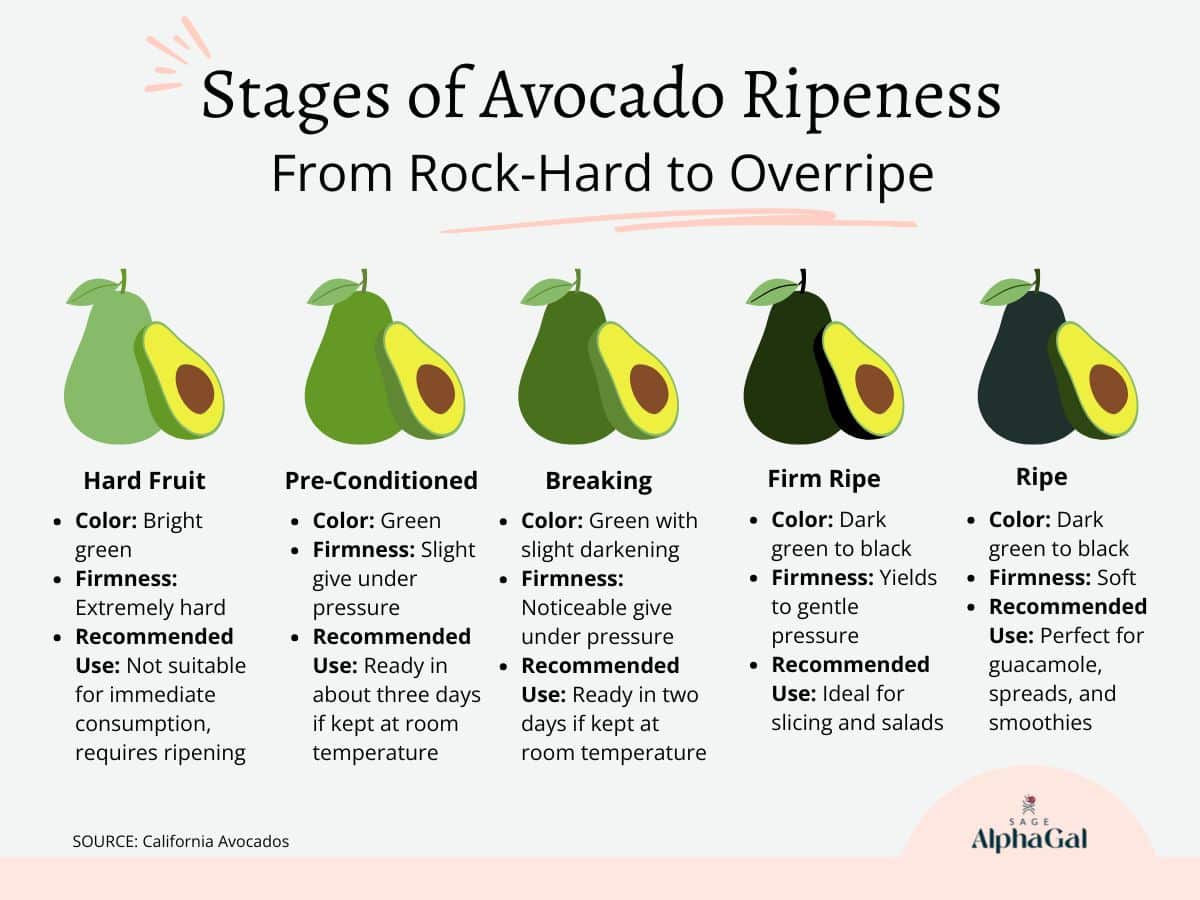 Infographic titled "Stages of Avocado Ripeness." Stages include Hard Fruit, Pre-Conditioned, Breaking, Firm Ripe, and Ripe, with descriptions of color, firmness, and use recommendations.