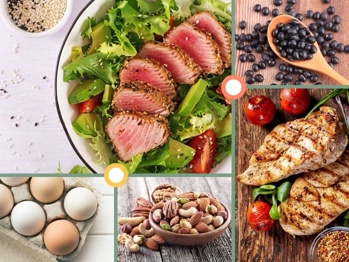 Best Protein Sources for Alpha Gals