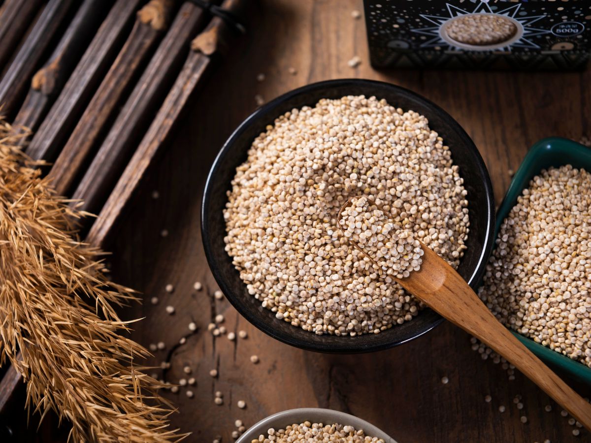 Bowl of Quinoa by Plant