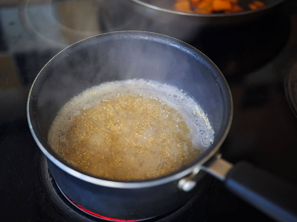 Cooking Quinoa on the Stovetop