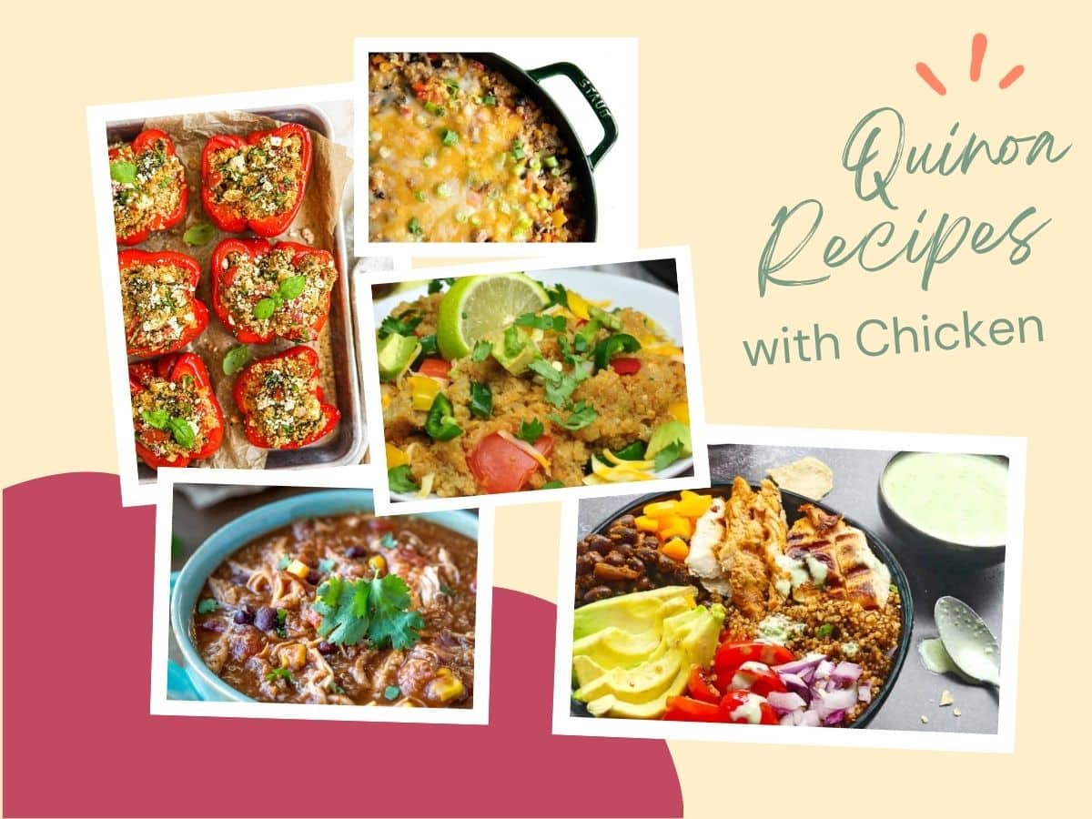 Collage of chicken quinoa recipes: stuffed peppers, skillet dish, chili bowl, and a quinoa chicken bowl. Text reads, "Quinoa Recipes with Chicken.