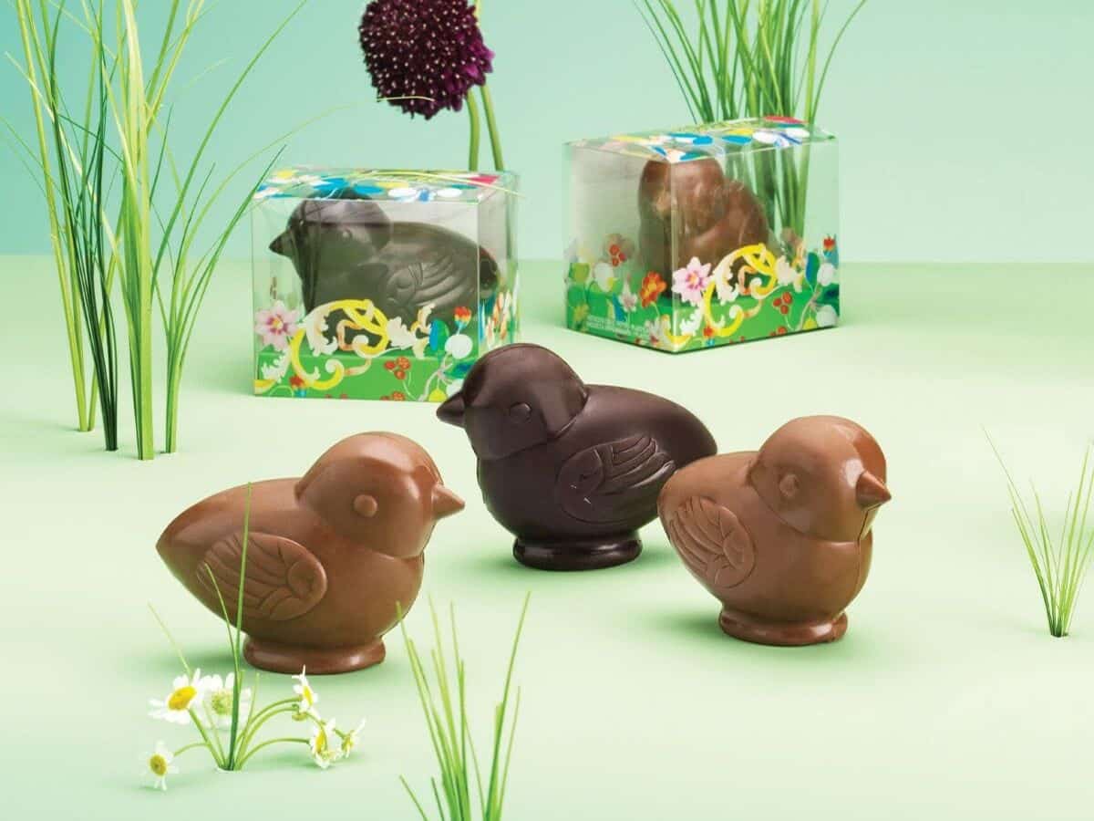Venchi Chocolate Chicks