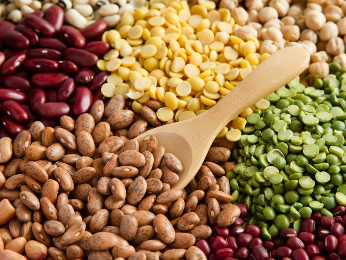 Assortment of Legumes -- Beans and Lentils