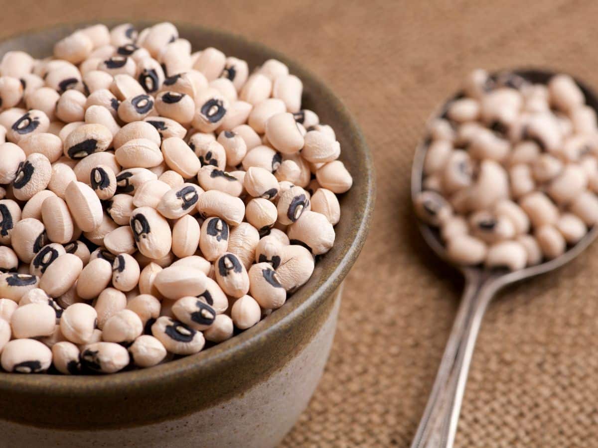 Bowl of dried black-eyed peas