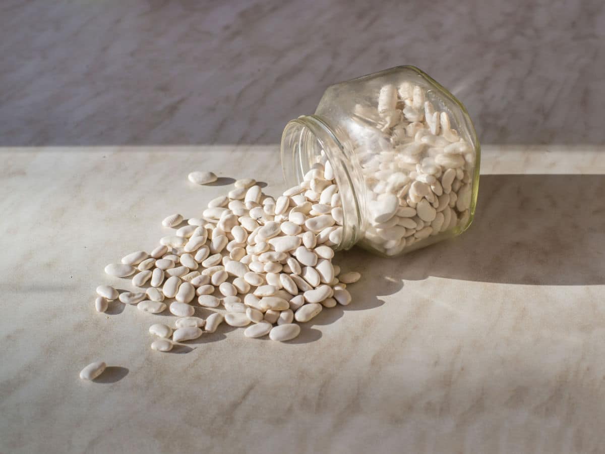 A glass jar of dried great northern beans spilled over onto a counter