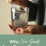 A person stirs chia seeds in a glass of water; text below reads, "Why Chia Seeds Are a Game-Changer for Skin Health.