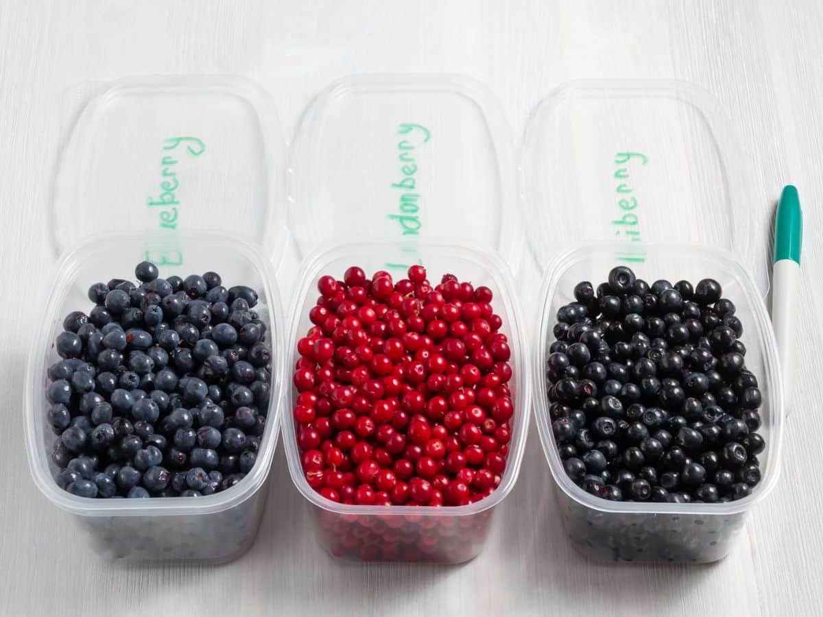 Three labeled plastic containers with blueberries, raspberries and blackberries.