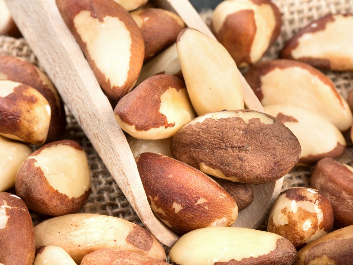 Brazil nuts in a wooden scoop.