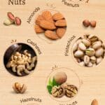 High protein nuts infographic.