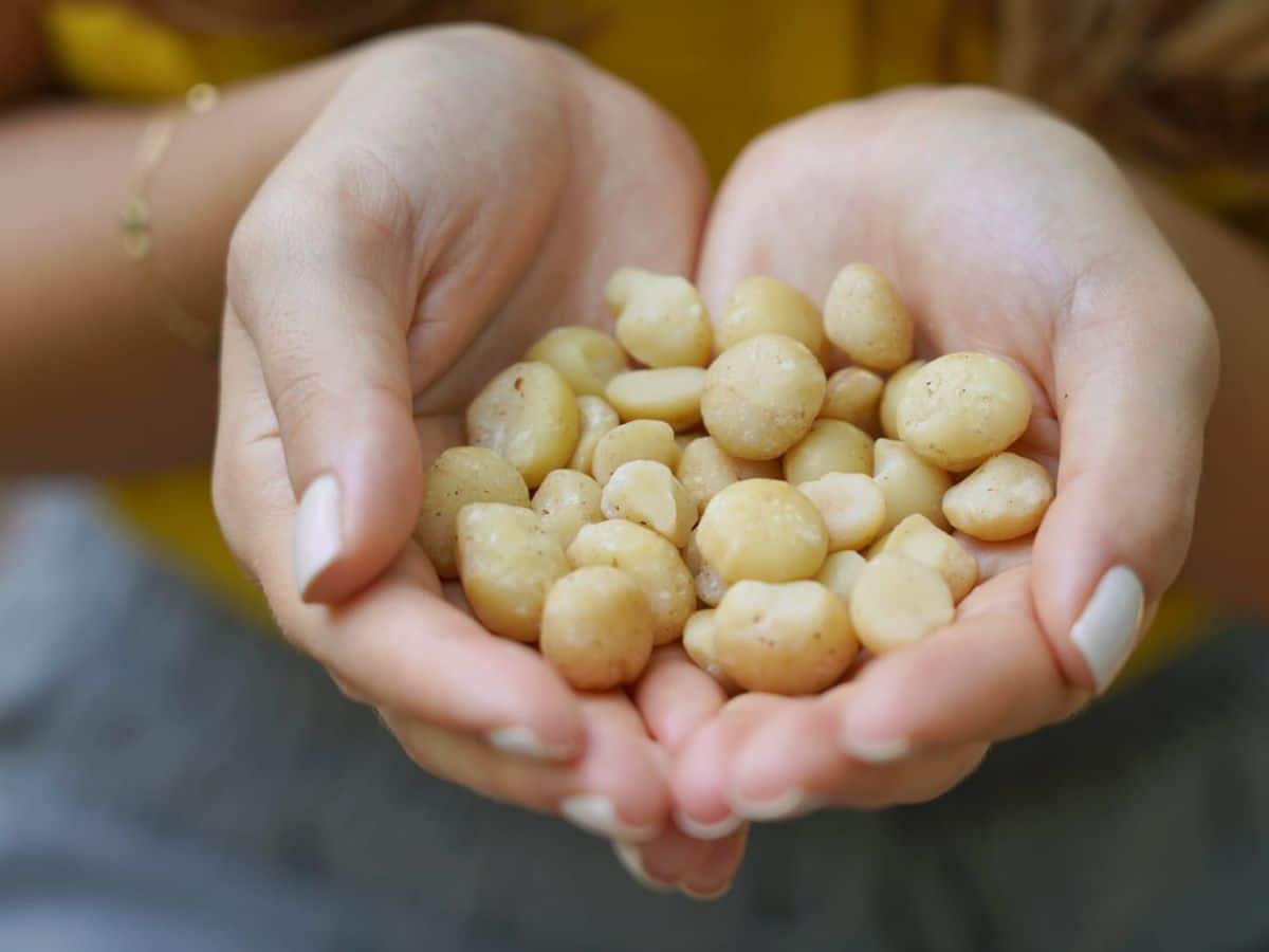 A woman's hands holding a handful of nuts.