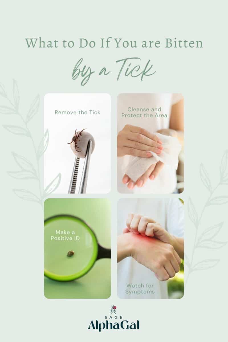What to do if you are bitten by a tick.