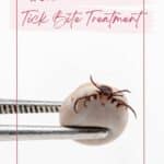 A tick with the words step by step guide tick ete treatment.