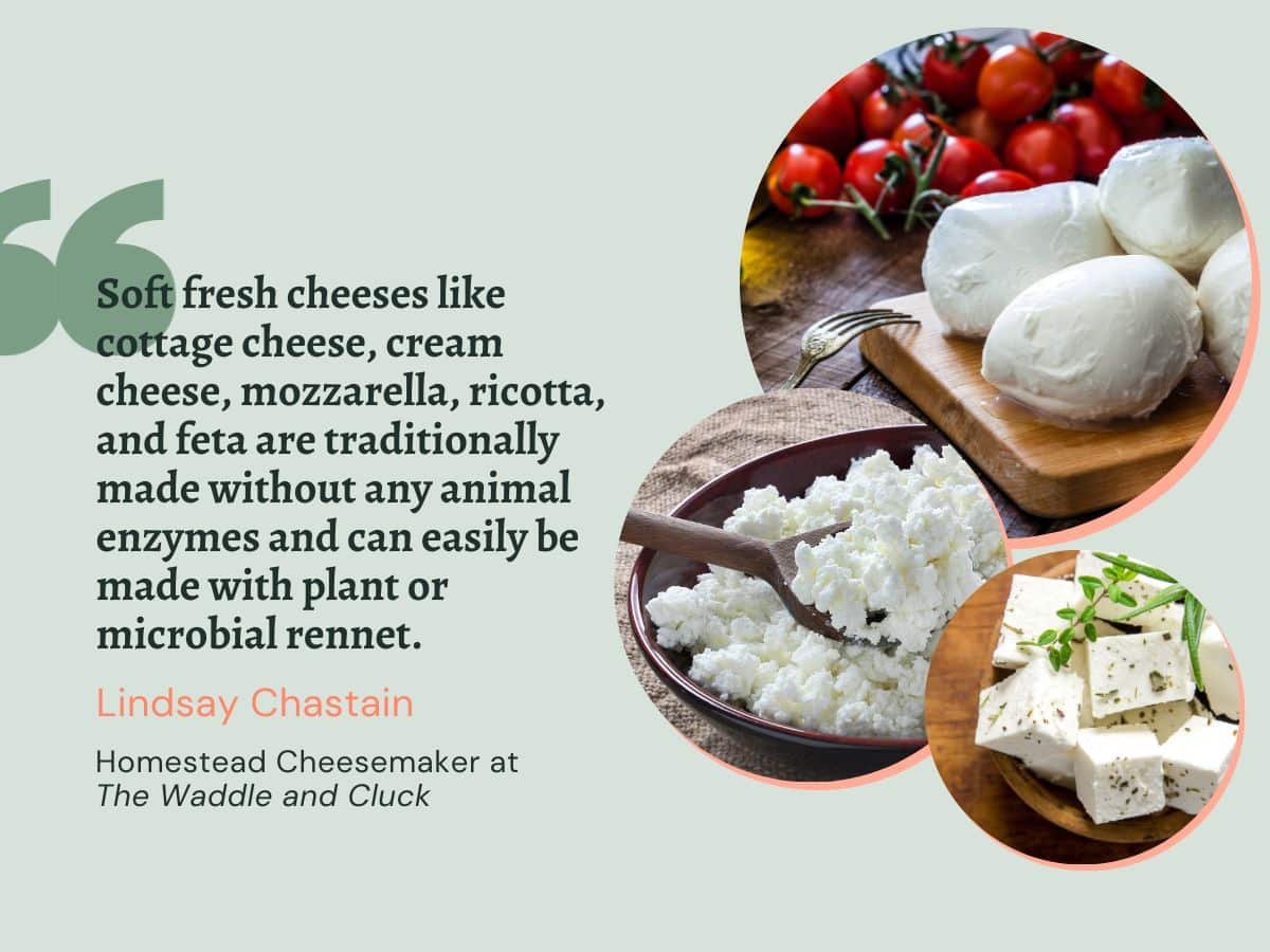 Fresh cheeses like mozzarella, cream cheese, and ricotta.