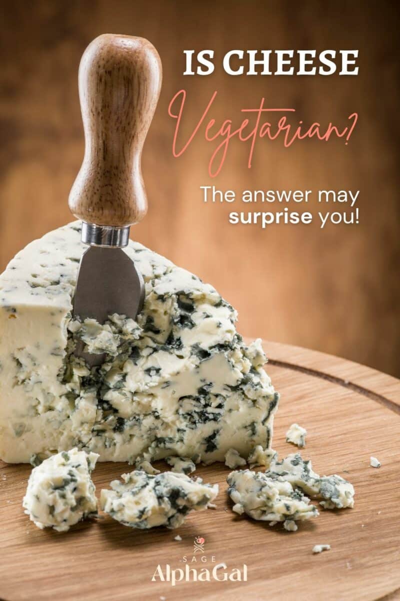 Is cheese vegetarian the answer may surprise you.