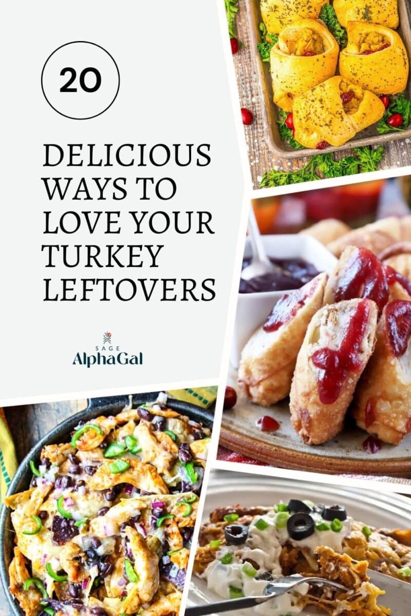 Four dishes made from turkey leftovers are shown next to a text reading "20 Delicious Ways to Love Your Turkey Leftovers" with an Alpha Gal logo.