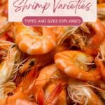 Close-up image of various shrimp with text overlay stating, "Guide to Shrimp Varieties: Types and Sizes Explained" and an AlphaGal logo at the bottom.