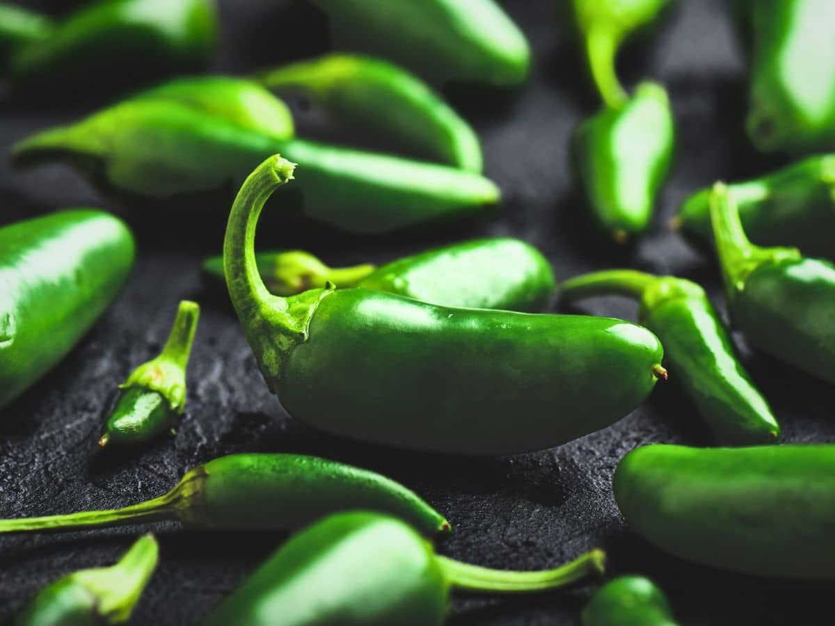 Close-up of several fresh green jalape&ntilde;o peppers on a dark surface.
