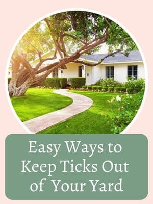 A well-maintained yard with a pathway, lush grass, and a tree, accompanied by text: "Easy Ways to Keep Ticks Out of Your Yard.