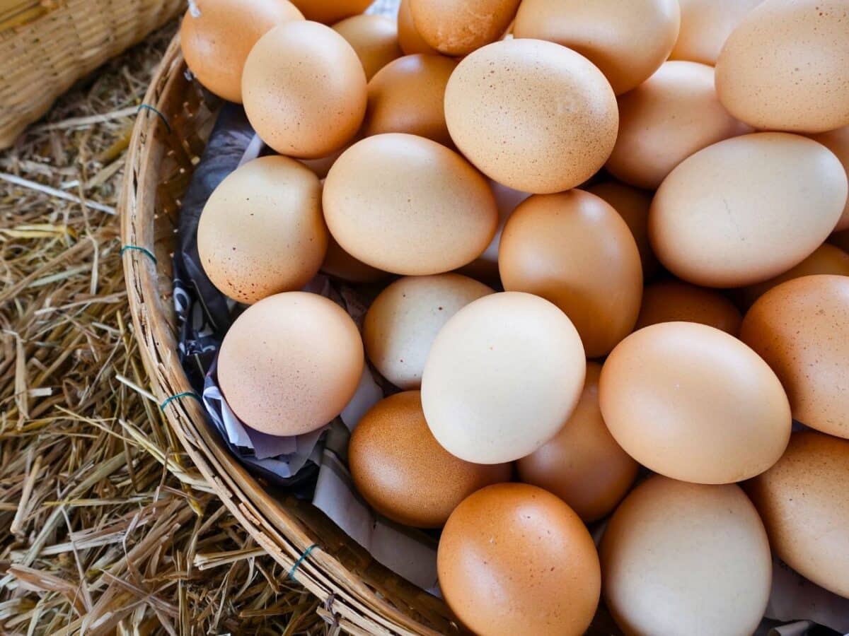 A basket filled with brown and white eggs rests on a bed of straw.