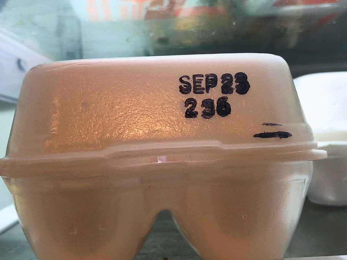 Styrofoam egg carton with "SEP 23 296" printed on the lid, placed inside a refrigerator.
