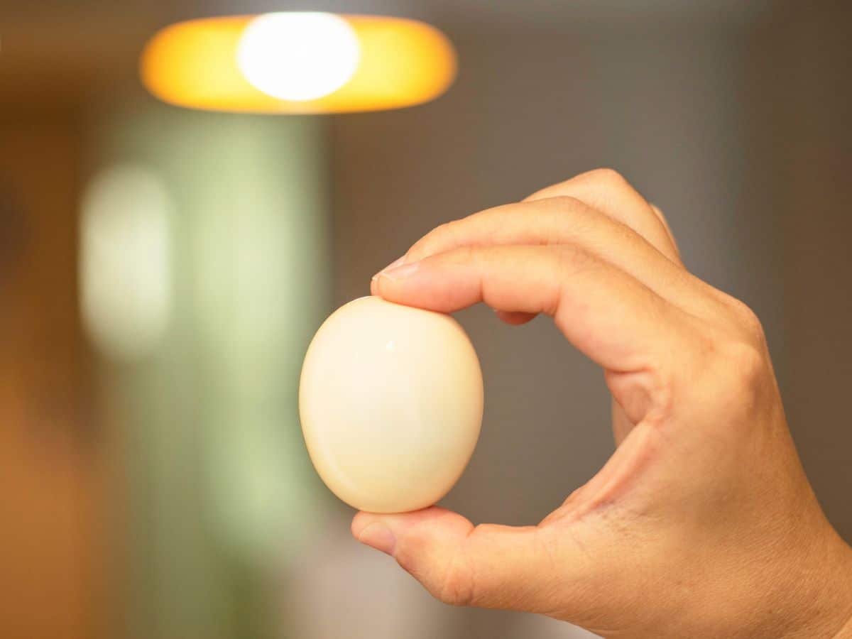 Hand holding a glowing egg with a blurred circular light in the background.