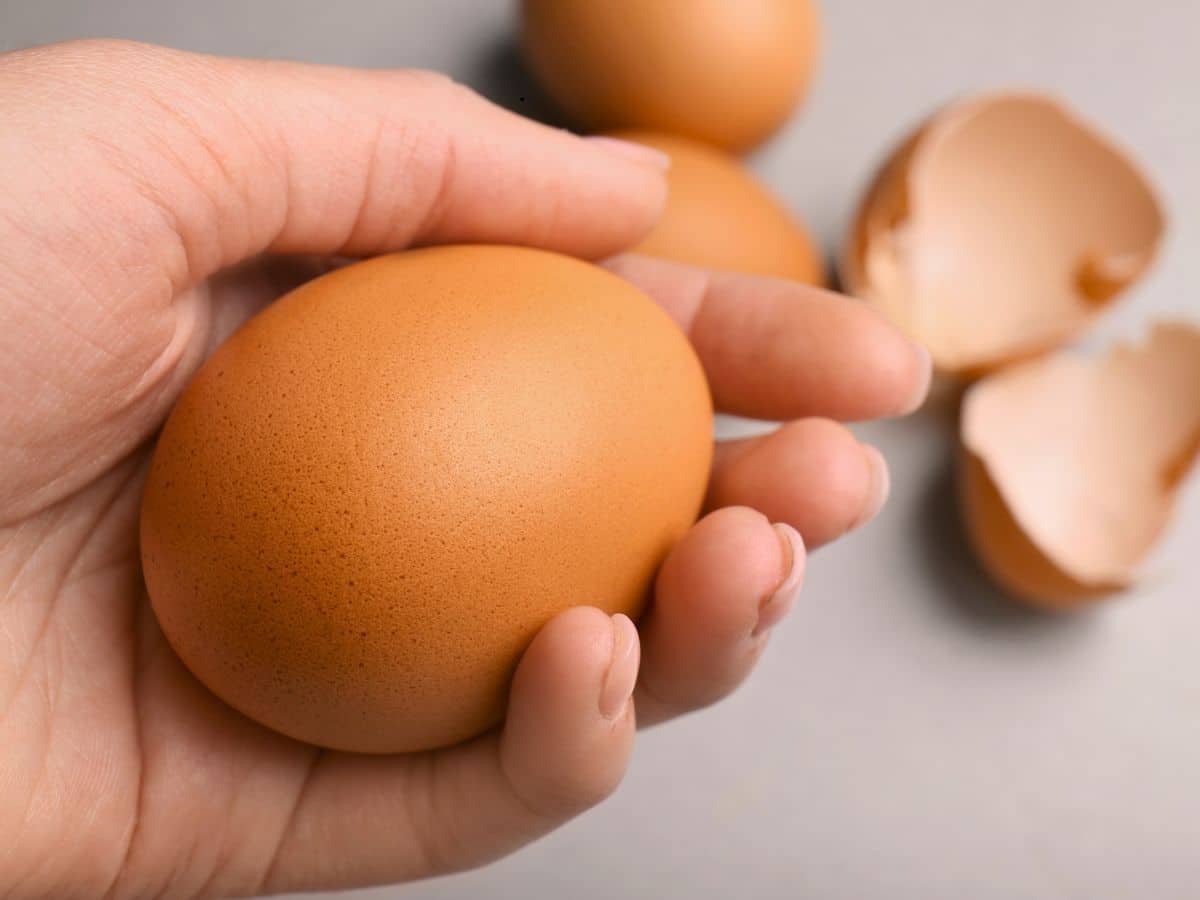 A hand holding a brown egg with broken eggshells in the background.