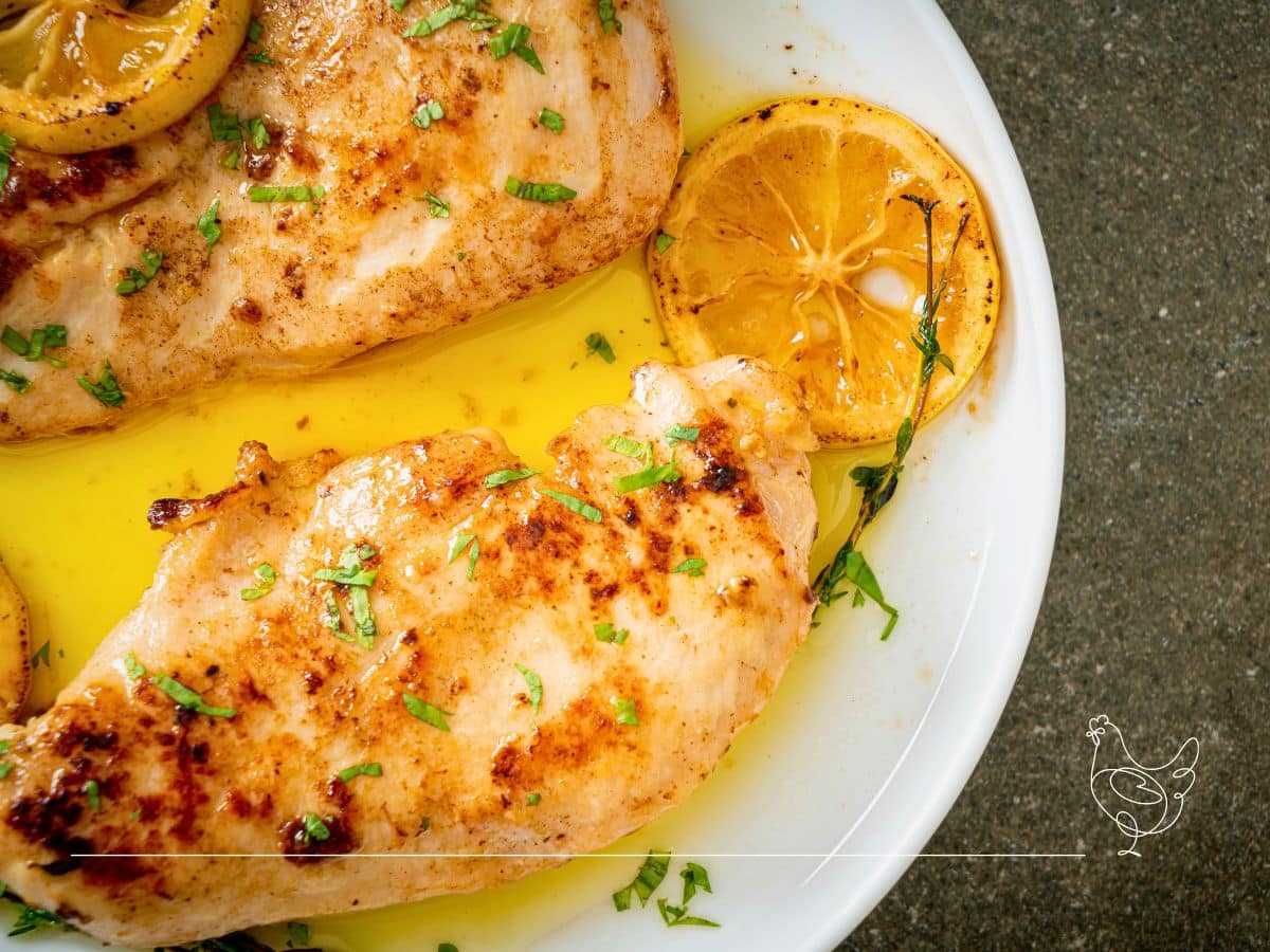Grilled chicken breasts garnished with herbs and lemon slices in a white dish.