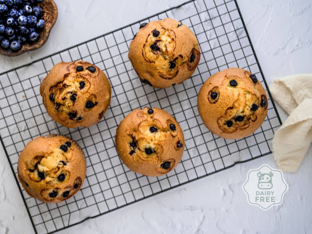 Five blueberry muffins on a cooling rack, with a small bowl of blueberries nearby. A label indicating 'dairy free' is visible.