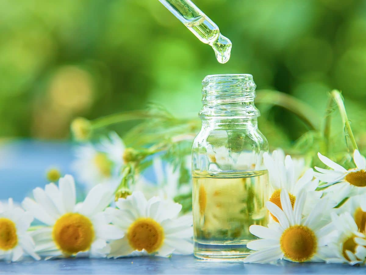 A glass dropper releases liquid into a small bottle surrounded by fresh chamomile flowers on a blurred green background.