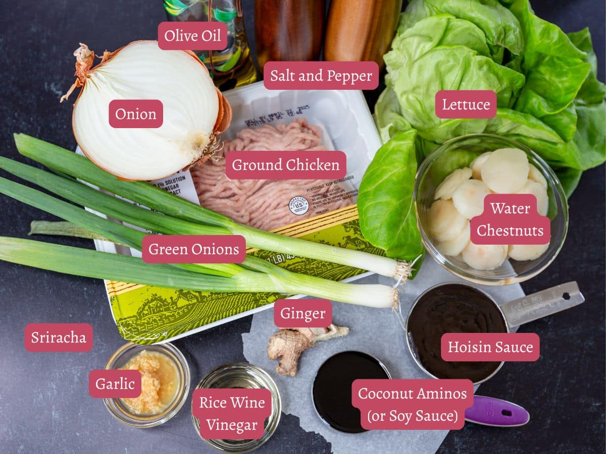 A variety of labeled ingredients for lettuce wraps, including ground chicken, green onions, lettuce, hoisin sauce, water chestnuts, garlic, ginger, and seasonings, arranged on a dark surface.