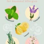 Illustration of essential oils for seasonal allergies: peppermint, lavender, eucalyptus, lemon, and chamomile, each depicted with corresponding plant images and labeled names.