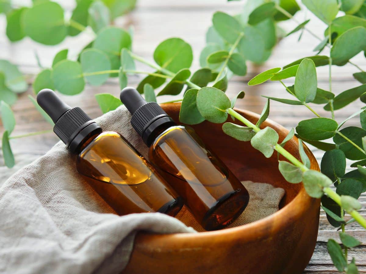 Two brown glass dropper bottles rest in a wooden bowl lined with a cloth, surrounded by fresh eucalyptus leaves on a wooden surface.