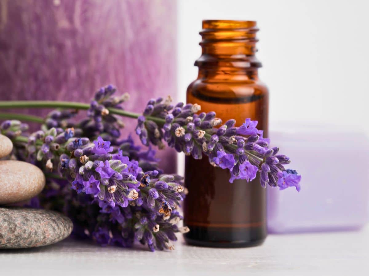 A small amber glass bottle next to sprigs of lavender, smooth stones, and a purple candle, arranged on a white surface.