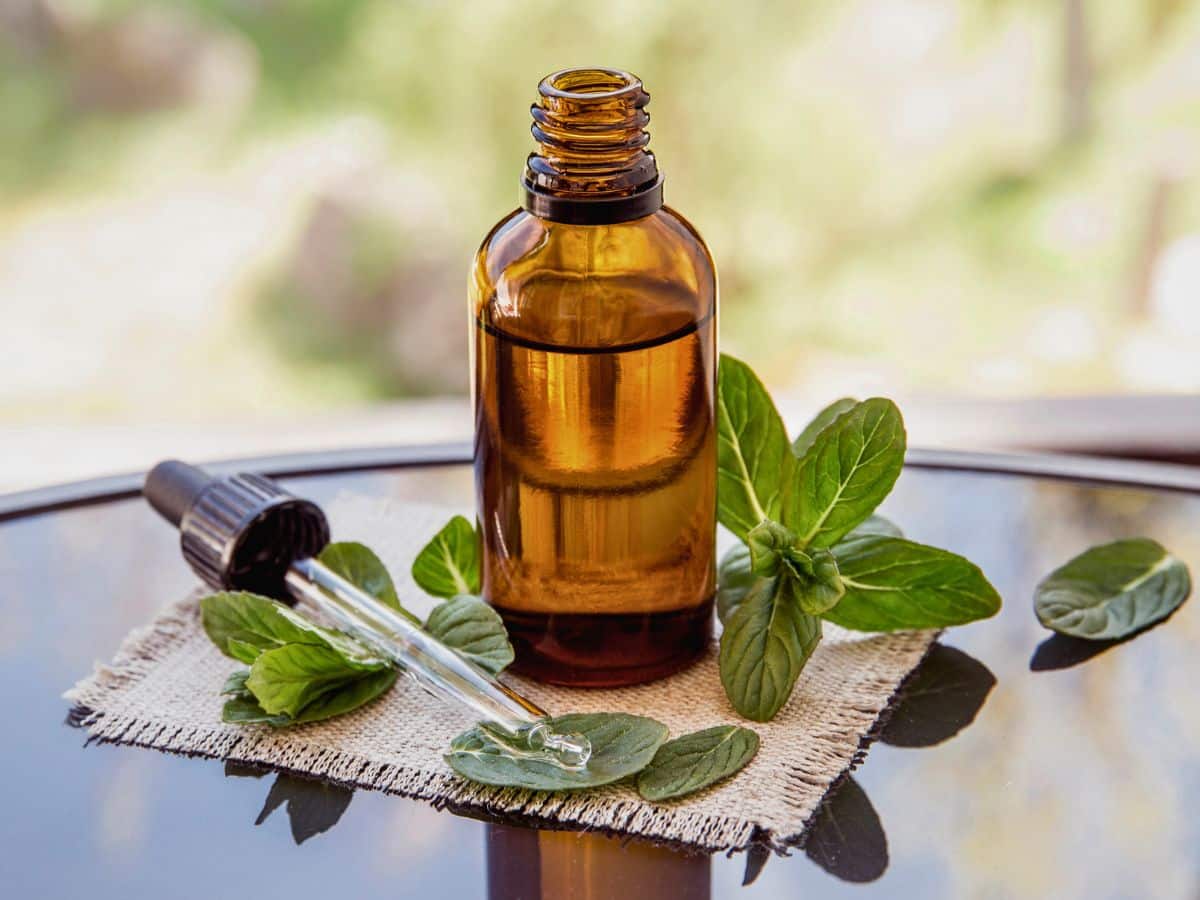 A small amber glass dropper bottle with a dropper, surrounded by fresh green leaves, sits on a piece of cloth atop a reflective surface.