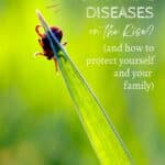 A tick perched on the tip of a green blade of grass with text about the rise of tick-borne diseases and protection tips from Sage AlphaGal.