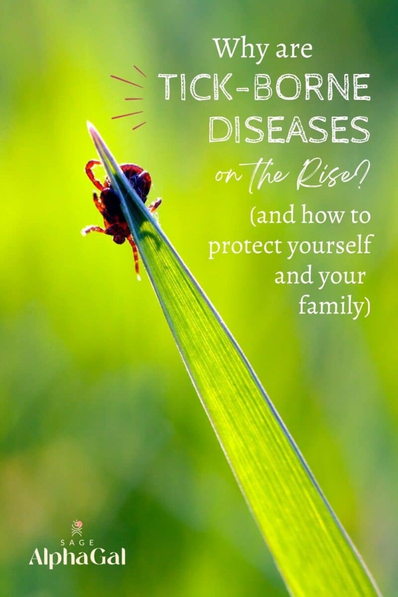 A tick perched on the tip of a green blade of grass with text about the rise of tick-borne diseases and protection tips from Sage AlphaGal.