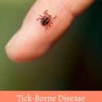 A close-up of a tick on a person’s fingertip with text warning about the rise of tick-borne disease and questioning risk level.