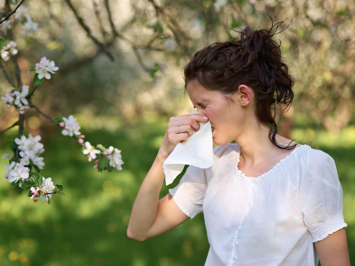 A woman in a white shirt stands outdoors near blossoming branches, holding a tissue to her nose as if sneezing or experiencing allergies.