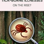 A magnifying glass highlights a tick on a forest background, with text asking why tick-borne illnesses are on the rise.